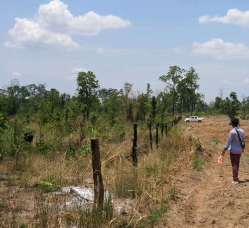 ដីចំការលក់ ៦ហិចតា