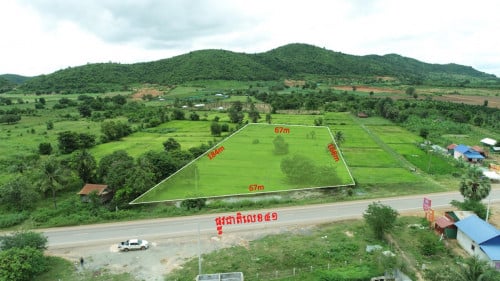 ដីលក់បន្ទាន់