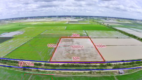 ដីស្រែលក់បន្ទាន់នៅភូមិសន្លុង 50m x 100m