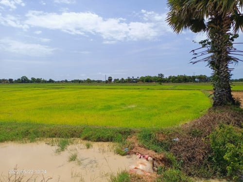 ដីលក់បន្ទាន់នៅជិតព្រលាថ្មី