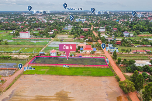 Land for Sale - Svay Dankum, Siem Reap