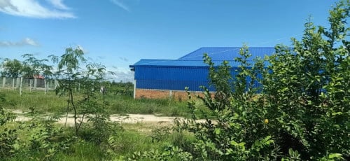 ដីជួល (ផ្លង់រឹង)