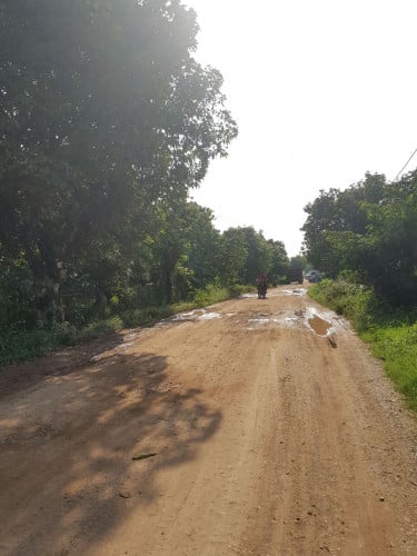 ដីភូមិលក់បន្ទាន់អរិយក្សត្រ 12m x 50m
