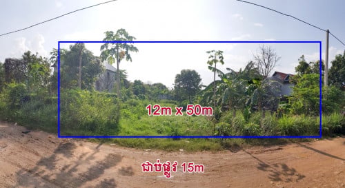 ដីភូមិលក់បន្ទាន់អរិយក្សត្រ 12m x 50m