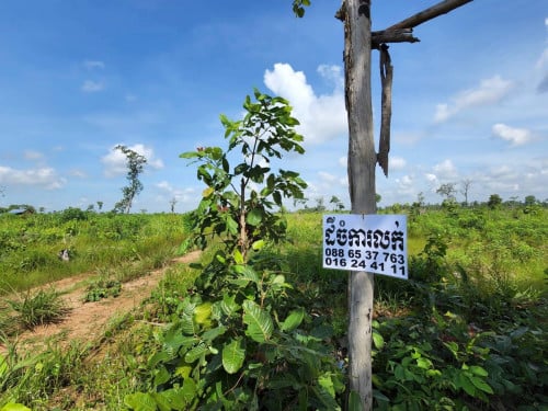 ដីចំការ ធូរថ្លៃ