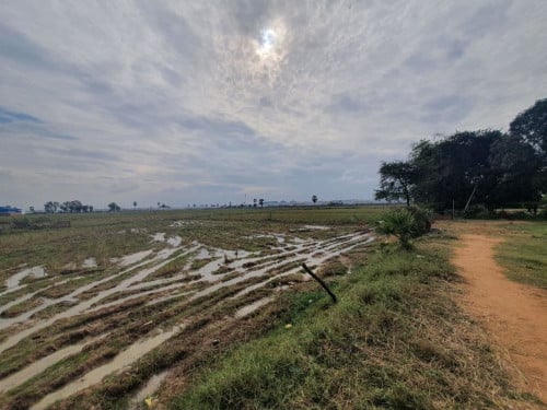 ដីសម្រាប់លក់ទីតាំងក្ន្ងងក្រុងតំបន់កំពុងមានការអភិវឌ្ឍន៍ខ្លាំង