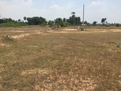 ដីឡូត៍លក់