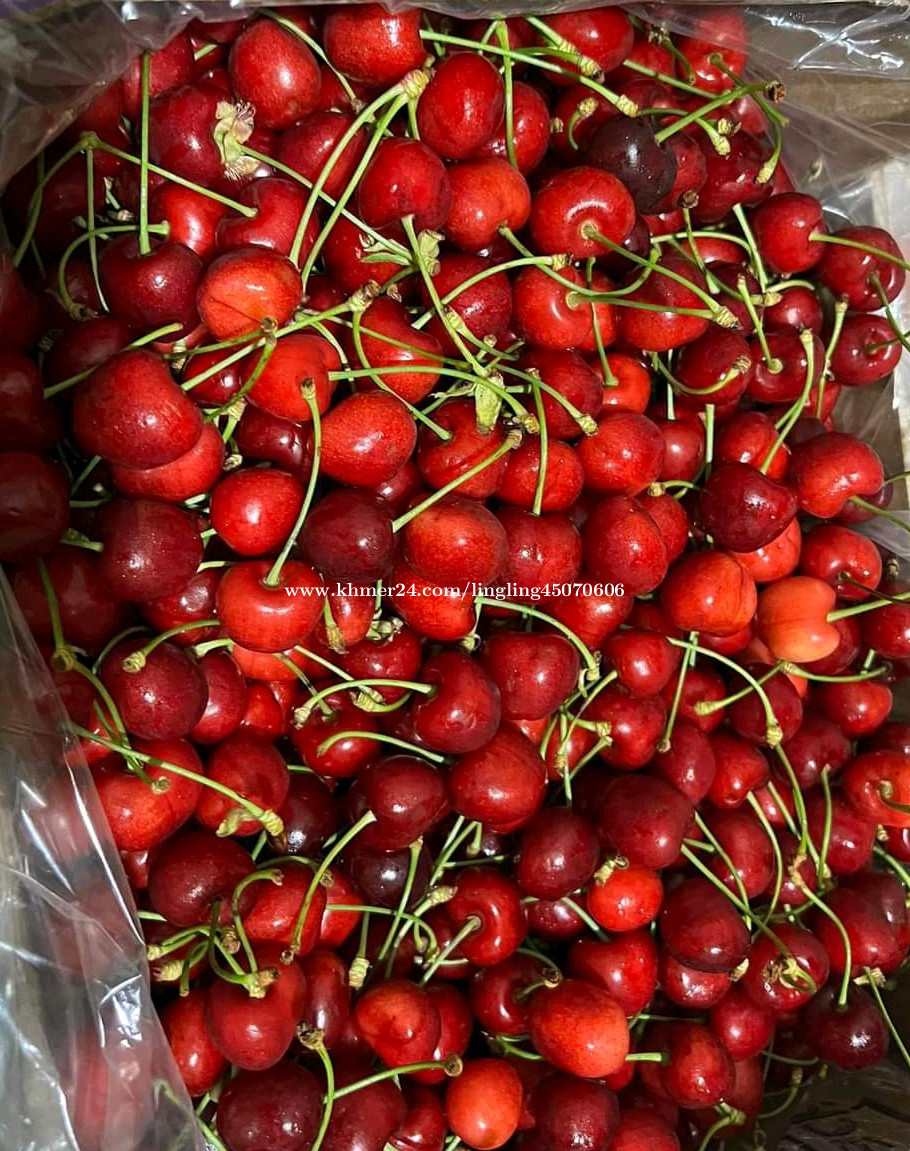 Cherry Price 20.00 in Phnom Penh, Cambodia Ling