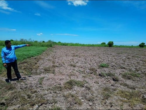 ដីលក់ធូរៗប្រញ៉ាប់