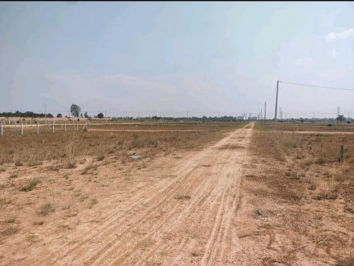 ដីលក់បន្ទាន់ប្រញាប់លុយ ដីមានពីរប្លង់ជាប់គ្នា ភូមិត្នោតស្ថិតនៅជិតភ្នំប្រសិទ្ធ