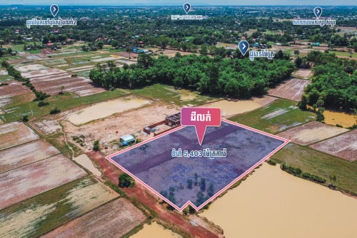 Plot Land for Sale - Sambour, Siem Reap