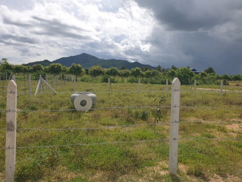 ដីលំហែ ក្បែរភ្នំព្រះធាតុ