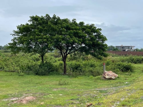 39m/45m x 85m/77m Land for Sale Big Front on main road face to National Stadium