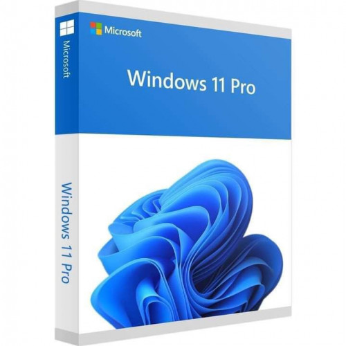 Windows 11 pro online, permanent