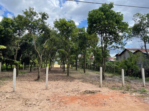 ដីសម្រាប់លក់នៅ កៀនស្វាយ