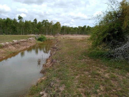 ដាក់ដីលក់នៅផ្លូវ51 បន្ទាន់ខ្លាំង ទិញទុកចំនេញថ្ងៃក្រោយ នៅក្រោយដីលីហួពីមុន