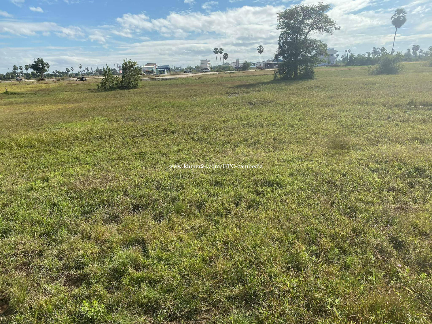 Field Land for Sale ដីស្រែ លក់នៅជិតតំបន់ពុះដីឡូត៍ in Trapeang Kong