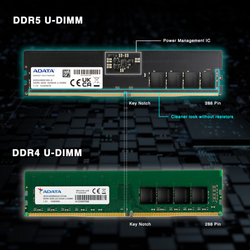 DDR5 8GB (4800)