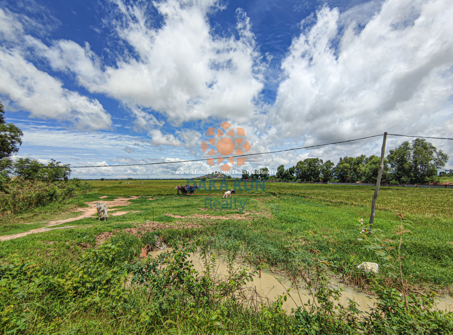 ដីហិចតាលក់នៅជិតភ្នំក្រោម, សៀមរាប/Land for Sale in Siem Reap in Siem