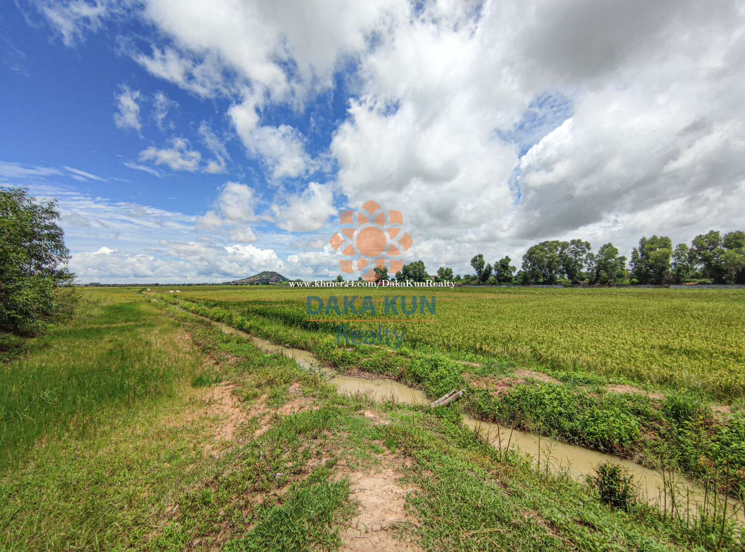 ដីហិចតាលក់នៅជិតភ្នំក្រោម, សៀមរាប/Land for Sale in Siem Reap in Siem