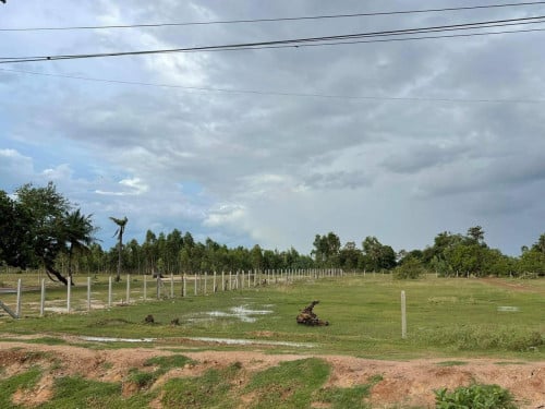 ដី 50 *​100ម លក់ធូរៗ