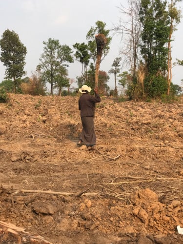 ដីកន្លះហិកតា (អន្លង់វែង)