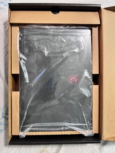 Msi gf63 thin “15” 10scxr