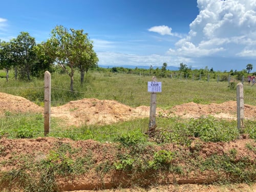ដីលក់ ដីស្មើល្អ
