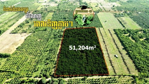 ដីលក់5ហិកតាផ្លូវជាតិលេខ43