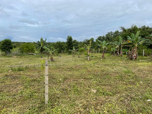 ដី​សំរាប់​លក់​