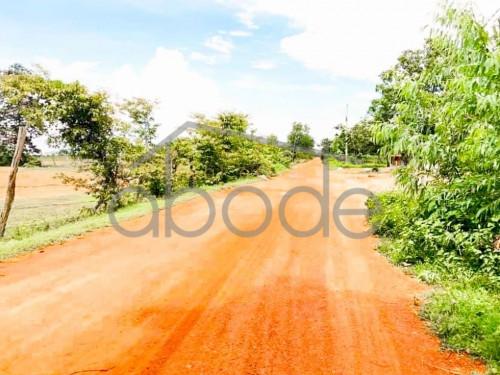 Hard title land near NR 3 great potential for sale | Kampot Province
