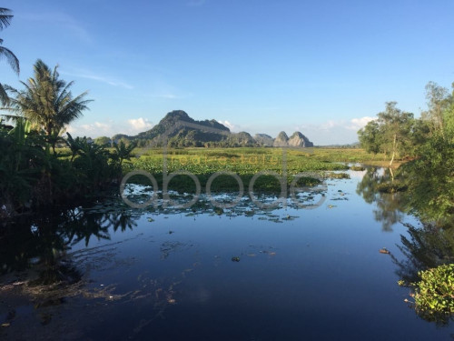 Plantation for sale Mt Bokor near Kampot and Sihanoukville