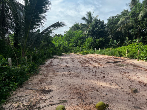 ទីតាំងល្អ ឆ្នេរនេសាទ ខេត្តកោះកុង