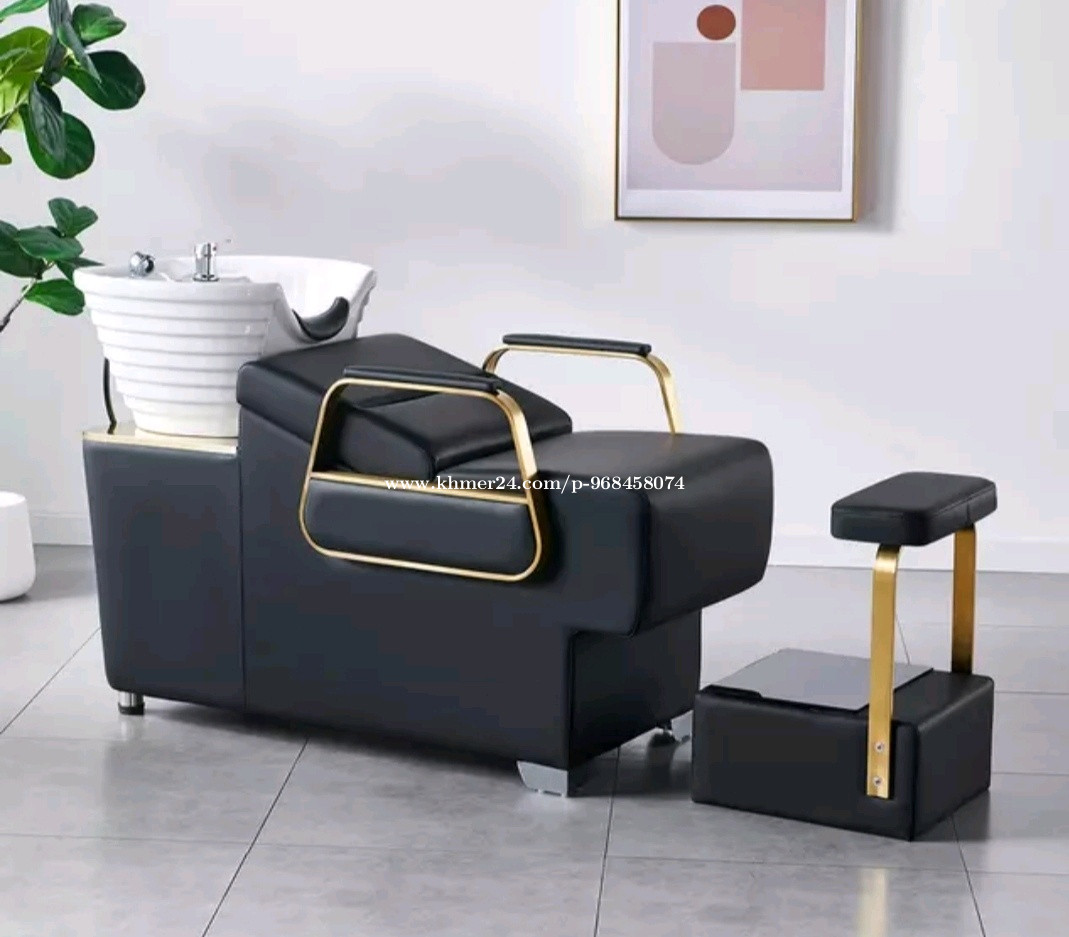 Salon Shampoo Chair Price 1 in Phnom Penh, Cambodia Raj Bashyal