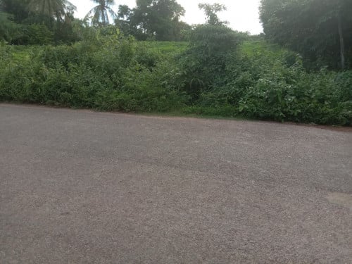 ដីលក់នៅលេីផ្លូវកៅស៊ូជិតព្រលានថ្មី