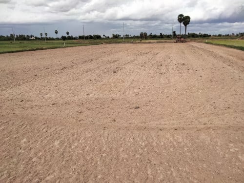 ដីលក់ ទីតាំងល្អ នៅជិត​រោងចក្រ ភូមិព្រែរំដួល ឃុំសែនដី ស្រុកសំរោងទង ខេត្តកំពង់ស្ពឺ