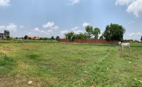ដីសម្រាប់ជួល តារាងបាល់,ឃ្លាំង, សណ្ឋាគារ, Boutique