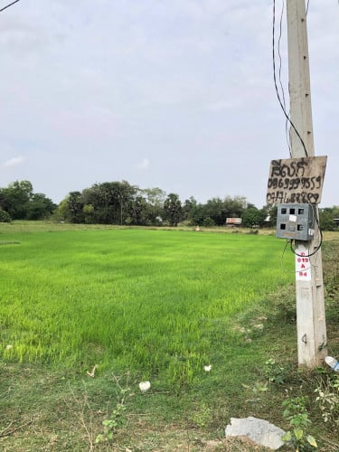 Land for sale ដីលក់បន្ទាន់