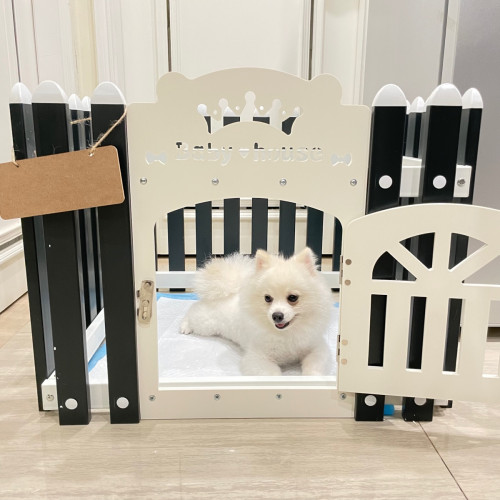 Dog Cage / Dog Fence Price 40 in Phnom Penh, Cambodia Charlie Fan