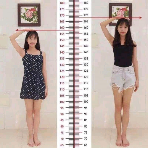ថ្នាំពន្លូតកម្ពស់