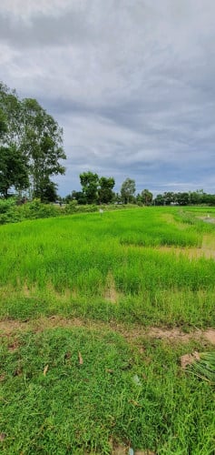 ដីលក់នៅ ស្លាគូ ផ្លូវជាតិលេខ៣ ទំហំ 15ម×55ម