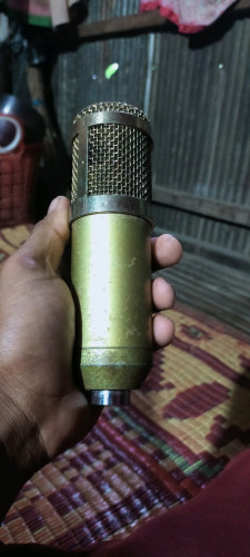mic BM800
