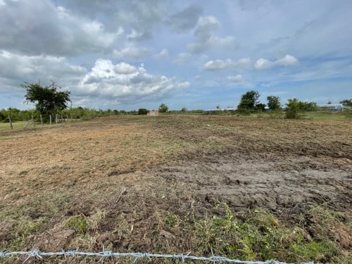 លក់ដីទំហំ45*143=6433m2@ ប្លង់រឹង ជំពូព្រឹក្ស ស្រុកឧដុង្គ ខេត្ត កំពង់ស្ពឺ