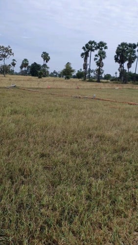 ដីសំរាប់លក់ 360m2 ចាក់គ្រោះហើយ មានបង្គោលភ្លើងរួចជាស្រេច នៅចំកណ្តាលដីក្រុមហ៊ុនដីឡូដ៏ ពិតជាដីល្ឣ