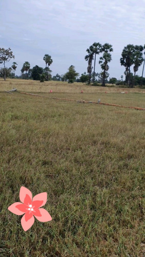 ដីសំរាប់លក់ 360m2 ចាក់គ្រោះហើយ មានបង្គោលភ្លើងរួចជាស្រេច នៅចំកណ្តាលដីក្រុមហ៊ុនដីឡូដ៏ ពិតជាដីល្ឣ