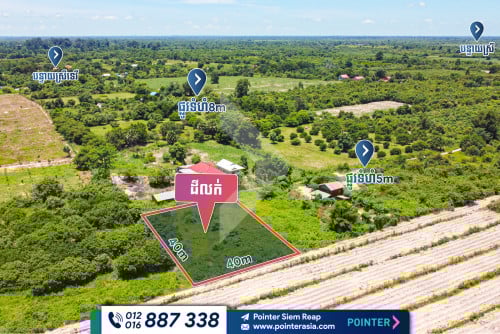 Land for Sale - Banteay Srey