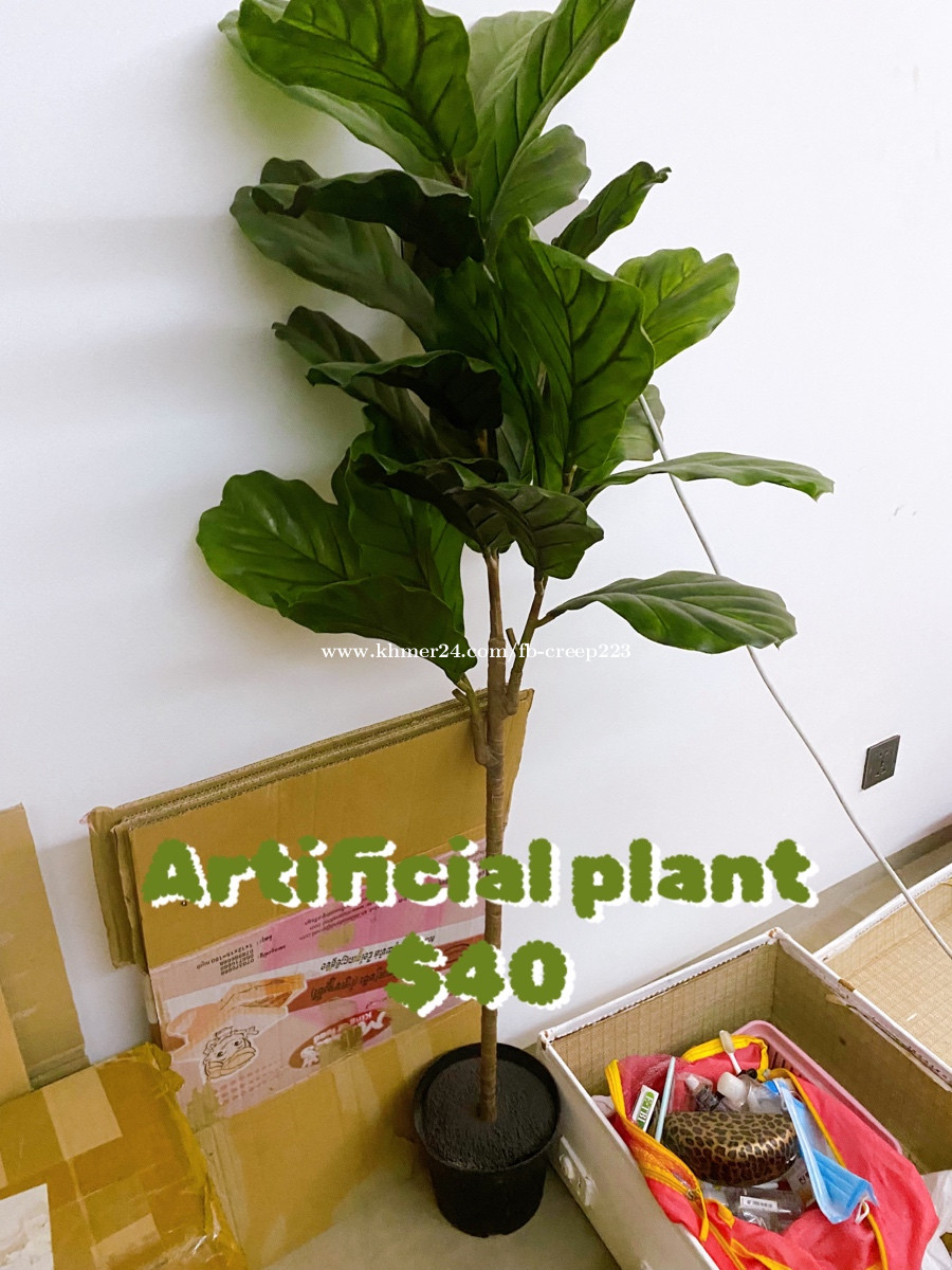 Artificial Trees Price 80.00 in Phnom Penh, Cambodia Yubae