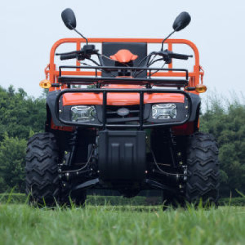 Wholesale 250cc 300cc New 4 Four Wheel ATV/UTV 4X4 for Farm