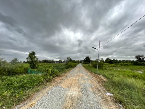 ដីលក់ ប្រឡាយ59 (ទំហំផ្លូវ 32ម៉ែត្រ) ជិតព្រលានយន្តហោះអន្តរជាតិតេជោ
