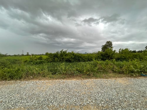 ដីលក់ ប្រឡាយ59 (ទំហំផ្លូវ 32ម៉ែត្រ) ជិតព្រលានយន្តហោះអន្តរជាតិតេជោ